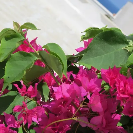 Sirene Pensjonat Polignano a Mare