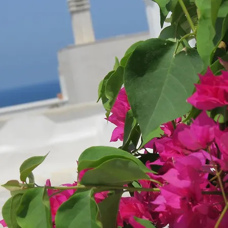 Sirene Polignano a Mare