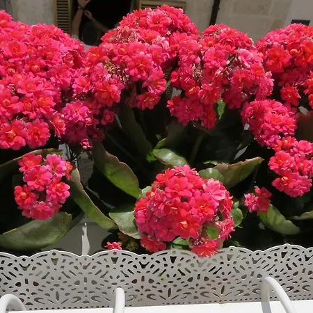 Sirene Vendégház Polignano a Mare